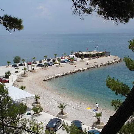 Dragicevic